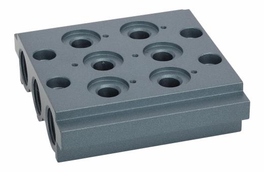 Manifold model 200